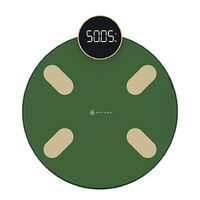 Умные весы Haylou Scale (Зеленые)