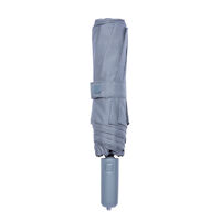 Зонт механический Ninetygo Oversized Portable (серый)