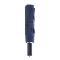 Зонт механический Ninetygo Oversized Portable (синий)
